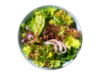 Plate with salad leaves