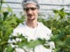 Person in the greenhouse checking the plants