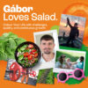Compilation of different photos of Gabor