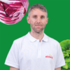 Portrait of Flavio Weber, Business development Manager Eisberg Group